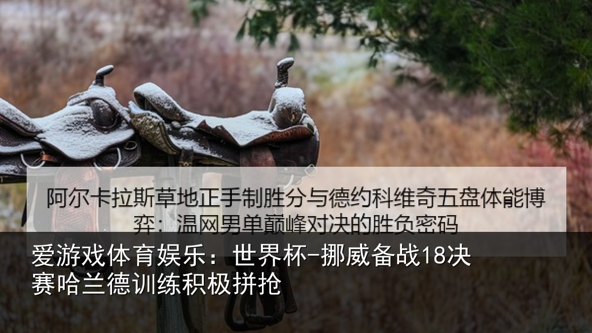 爱游戏体育娱乐：世界杯-挪威备战18决赛哈兰德训练积极拼抢