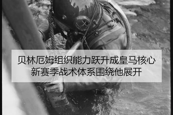 bei-lin-e-mu-zu-zhi-neng-li-yue-sheng-cheng-huang-ma-he-xin-xin-sai-ji-zhan-shu-ti-xi-wei-rao-ta-zhan-kai-2-432.jpg